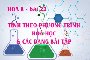 Cách tính theo phương trình hoá học và bài tập vận dụng - hoá 8 bài 22